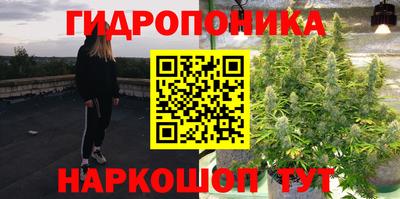 трава Партизанск