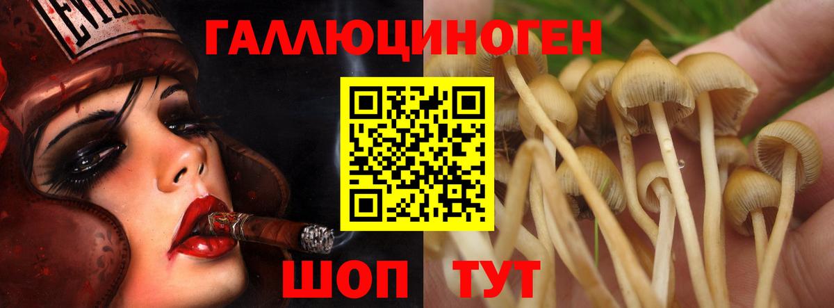 Орёл  Галлюциногенные грибы ЛСД  Вход с VPN 
